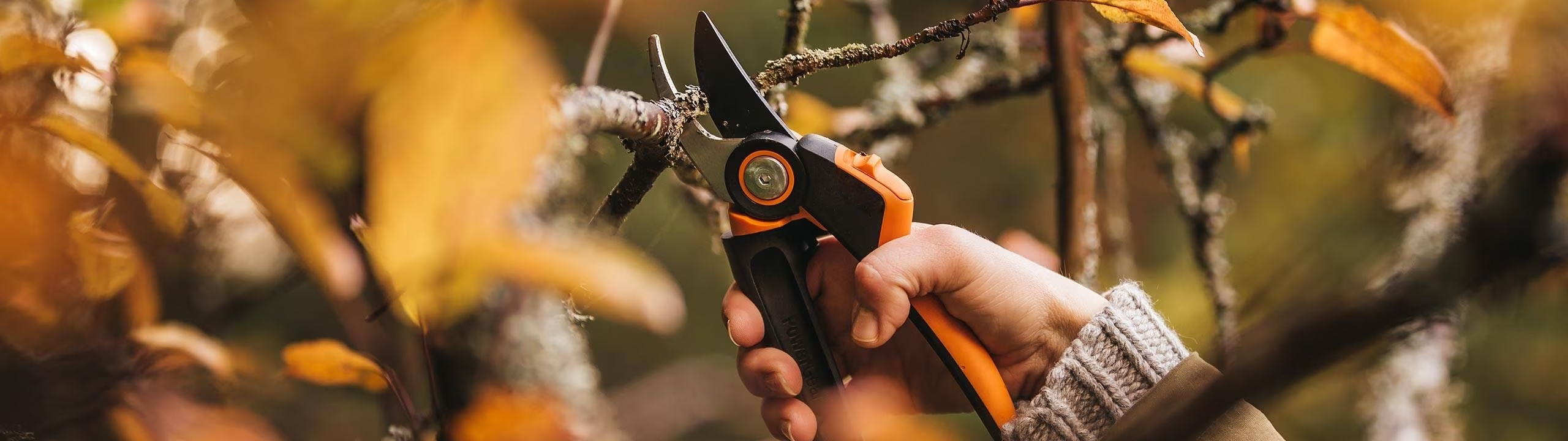 Front Page 5 Front Page -Garden Outdoor 1