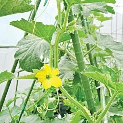 Knotty Takiron Green Steel Stakes, 7/16"x 6', Bundle Of 10 11 Knotty Takiron Green Steel Stakes, 7/16"x 6', Bundle Of 10 -Garden Outdoor 116tsk 4