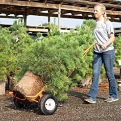 Leonard Ball Carts With Curved Lift, Pneumatic Tires -Garden Outdoor 15cc 9