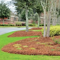 CleanStraw Premium Pine Straw Pallet Of 40 Bags -Garden Outdoor 2001 40 live resort2