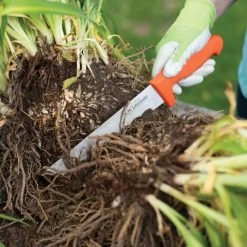 Leonard Wavy Edge Stainless Steel Cut-All Knife, 8-Inch Blade -Garden Outdoor 4041t 6