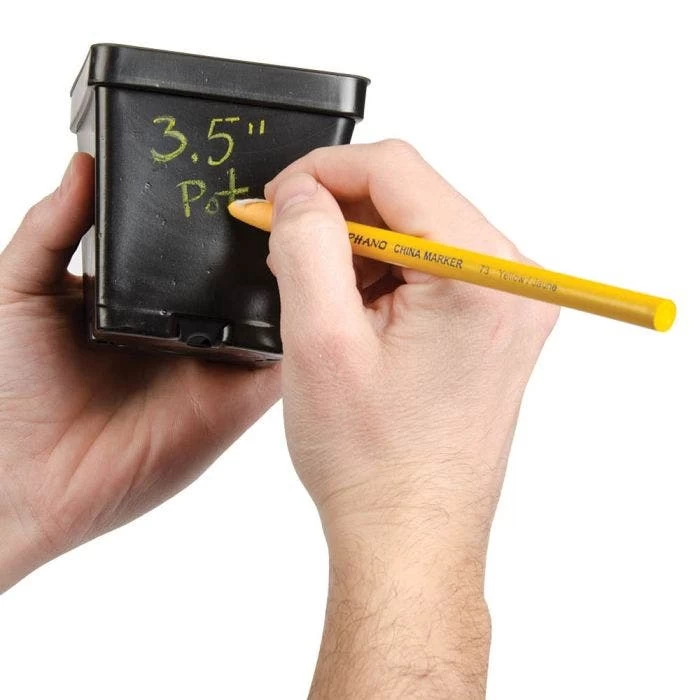 Yellow China Marker Pencils, Box Of 12 3 Yellow China Marker Pencils, Box Of 12 - Image 3