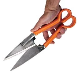 Leonard Sheep Shear With Vinyl-Coated Grips -Garden Outdoor 70p 2