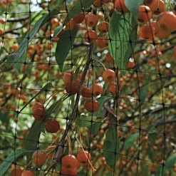 Netting, 7 Feet X 100 Feet, 3/4-Inch Square, Mesh -Garden Outdoor 725pn 2