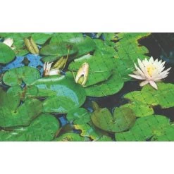 Netting, 7 Feet X 100 Feet, 3/4-Inch Square, Mesh -Garden Outdoor 725pn pond