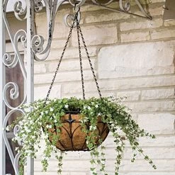 Wire Hanging Basket Fleur De Lis Coco Liner And Chain 14in Diam -Garden Outdoor 88512 2