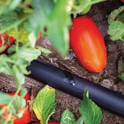 Irritec P1 Light 8-Mil Dripline, 1,000 Feet -Garden Outdoor 98601 2