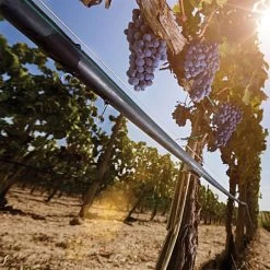 Irritec P1 Light 8-Mil Dripline, 1,000 Feet -Garden Outdoor 98601 3