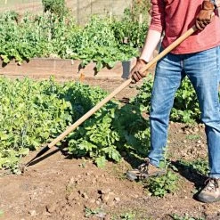 Leonard Cape Cod Weeder With 60" Wood Handle -Garden Outdoor acw60 2