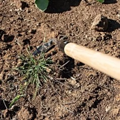 Leonard Cape Cod Weeder With 60" Wood Handle -Garden Outdoor acw60 3