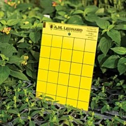 Leonard Double-Sided Sticky Insect Traps, Pack Of 25 -Garden Outdoor am yb25 2