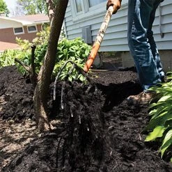 Leonard 6-Tine Forged Steel Manure Fork With 54-Inch Straight Handle -Garden Outdoor amf6 5 1