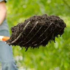 Leonard 6-Tine Forged Steel Manure Fork With 54-Inch Straight Handle -Garden Outdoor amf6 6