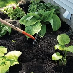 Leonard 6 Tine Forged Steel Manure Fork With 30 Inch D Grip Handle -Garden Outdoor amf6d 4