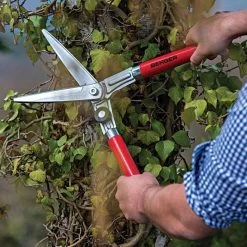 Berger Compact Precision Topiary Shear With Wooden Handles 7 Berger Compact Precision Topiary Shear With Wooden Handles -Garden Outdoor b2510 live2