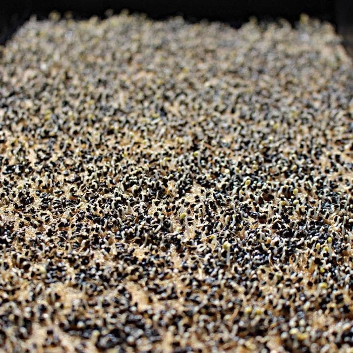 Biostrate Felt, 10in X 20in Sheet, Pack Of 10 2 Biostrate Felt, 10in X 20in Sheet, Pack Of 10 - Image 2