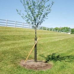 Rigid Plastic Mesh Tree Guard By A.M. Leonard, 4in Diameter X 36in Length, 5ct Bundle -Garden Outdoor bg36 2