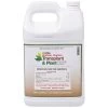 Transplant Concentrate & Plant Enhancer, 1 Gallon