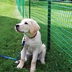 Standard Strength Pet Fence, 4ft X 330ft -Garden Outdoor cn433 2