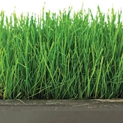 Fairlawn Shade Mix, 5 Lb Bag 5 Fairlawn Shade Mix, 5 Lb Bag -Garden Outdoor flsh5 2 1