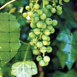 Heavy Duty Net, 14ft X 100ft 6 Heavy Duty Net, 14ft X 100ft -Garden Outdoor hdn141 2