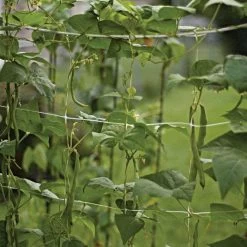 Hortonova Trellis Netting, 4 Feet X 3,280 Feet -Garden Outdoor htn43280 12