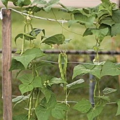 Hortonova Trellis Netting, 4 Feet X 3,280 Feet -Garden Outdoor htn43280 14