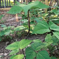 Hortonova Trellis Netting, 4 Feet X 3,280 Feet -Garden Outdoor htn43280 17