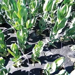 Hortonova Trellis Netting, 4 Feet X 3,280 Feet -Garden Outdoor htn43280 18