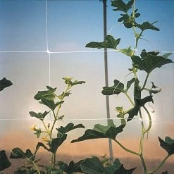 Hortonova Trellis Netting, 4 Feet X 3,280 Feet -Garden Outdoor htn43280 2