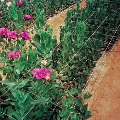 Hortonova Trellis Netting, 4 Feet X 3,280 Feet -Garden Outdoor htn43280 7