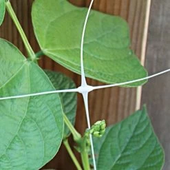 Hortonova Trellis Netting, 4 Feet X 3,280 Feet -Garden Outdoor htn43280 9