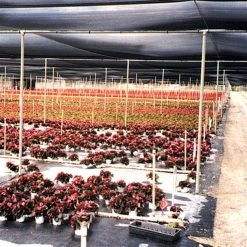 Black Knitted Shade Fabric Master Roll, 30% Shade, 12-Foot Width -Garden Outdoor ksb1230030 3