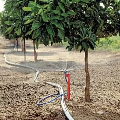 Maxijet Irrigation Ag Spray Stake Assembly, 12ft Diameter, Package Of 25 10 Maxijet Irrigation Ag Spray Stake Assembly, 12ft Diameter, Package Of 25 -Garden Outdoor max36 citrus fieldshot 1