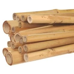 6-Foot Natural First Cut Premium Bamboo Stakes, 18-20 Mm Diameter, Bundle Of 100