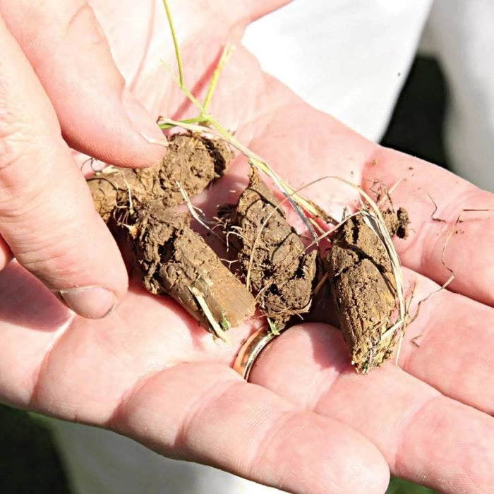 Brinly Tow-Behind Plug Aerator 4 Brinly Tow-Behind Plug Aerator - Image 4