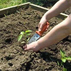 LEONARD 1235 PRUNER 4750 SOIL KNIFE SPK8 SHEATH COMBO -Garden Outdoor pk4c 7