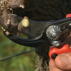 Bahco Professional Ergonomic Pruners, 0.75-inch Cutting Capacity -Garden Outdoor pxm2 5