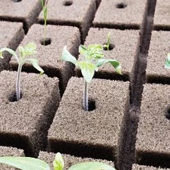 OASIS Grower Solutions Horticubes XL Foam Medium, 276 Cell -Garden Outdoor rc104 2 4