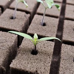 OASIS Grower Solutions Horticubes XL Foam Medium, 276 Cell -Garden Outdoor rc104 3 4