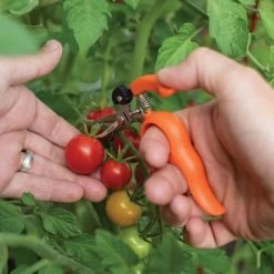 Hands-Free Ring Pruner -Garden Outdoor rp2 6