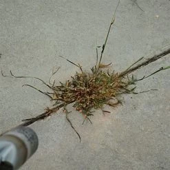 Red Dragon; 400,000 BTU Torch Kit -Garden Outdoor t230 6