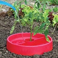 Tomato Crater, 3-pack -Garden Outdoor tc3 3