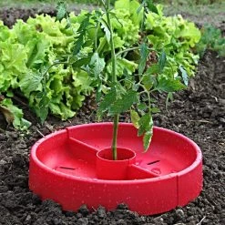 Tomato Crater, 3-pack -Garden Outdoor tc3 4