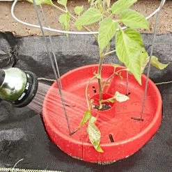 Tomato Crater, 3-pack -Garden Outdoor tc3 5