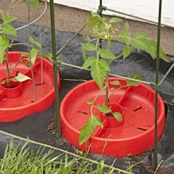 Tomato Crater, 3-pack -Garden Outdoor tc3 6