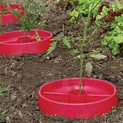 Tomato Crater, 3-pack -Garden Outdoor tc3 7