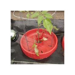 Tomato Crater, 3-pack -Garden Outdoor tc3 9