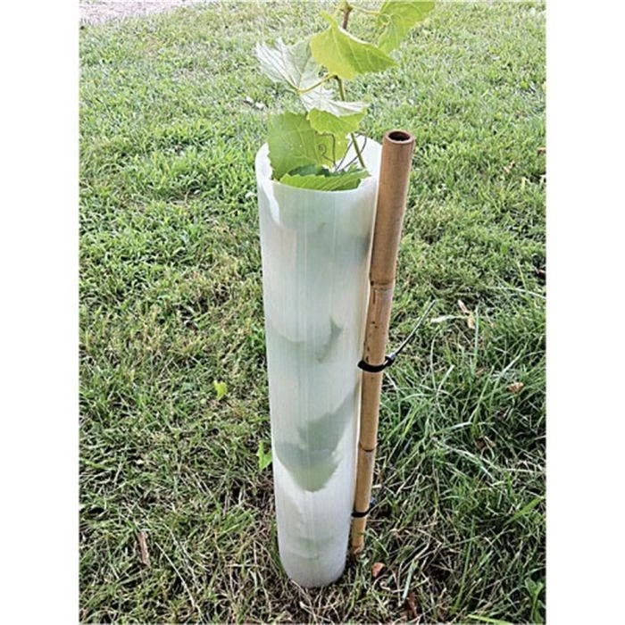 Tree Pro 48-Inch Slit Tube Tree Shelters, Bundle Of 5 3 Tree Pro 48-Inch Slit Tube Tree Shelters, Bundle Of 5 - Image 3
