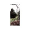 Lawson Bulk Tree Stake Kit 6ft Straps